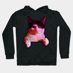 Red Cat Disdains You Hoodie